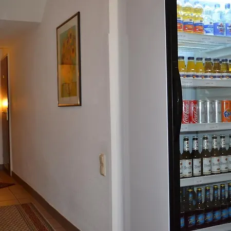 Minerva Garni Hotel 3*